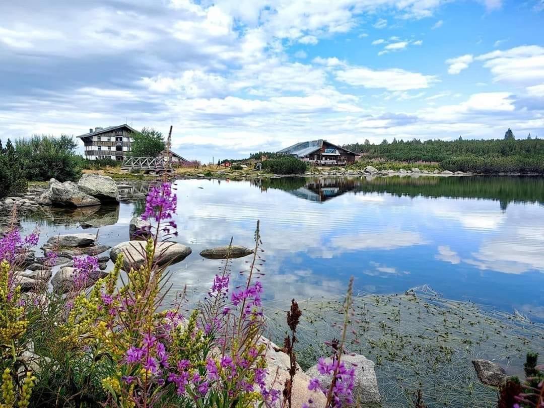 Alpine Lodge Bansko Apartments Exteriér fotografie